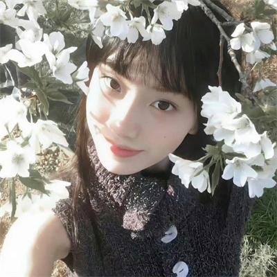 理想与现实
